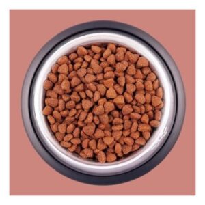 Как подобрать аналог корма для собак Ajo?